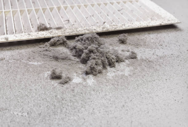 Best HVAC Duct Inspection Services  in Phillips, WI