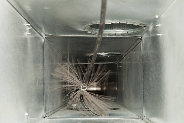 Best Air Duct Mold Removal  in Phillips, WI